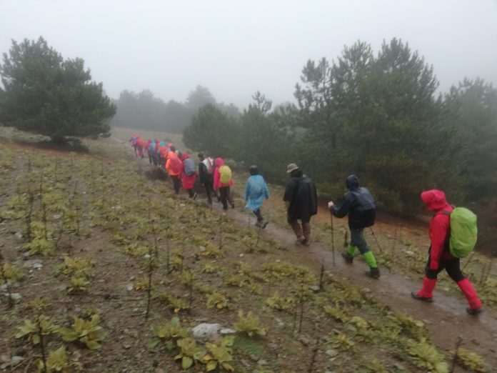 İzmir Meteoroloji 2. Bölge Müdürlüğü Pazar Günü Kuvvetli Yağış Uyarısı Yaptı