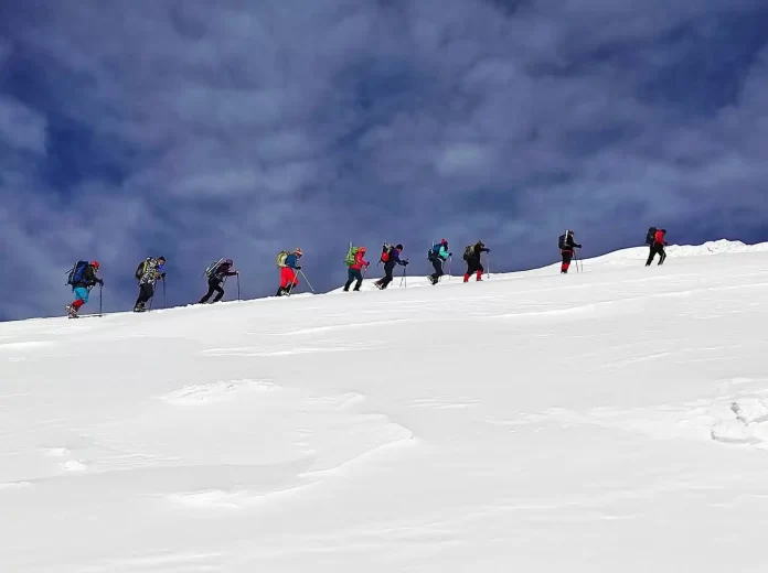 TDF Faaliyet Programı 2023 Yılı Yayınlandı